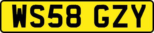 WS58GZY