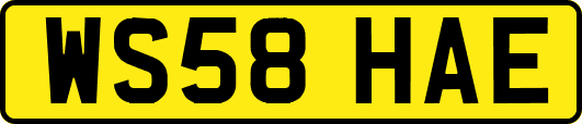 WS58HAE