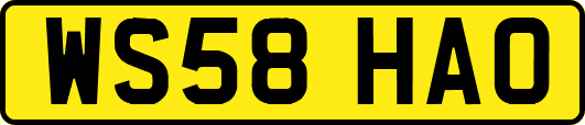 WS58HAO