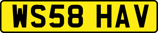 WS58HAV