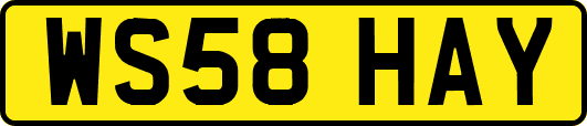 WS58HAY