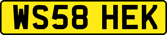 WS58HEK