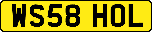 WS58HOL