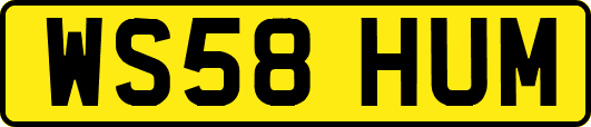 WS58HUM
