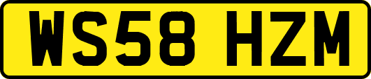 WS58HZM