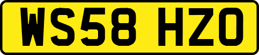 WS58HZO