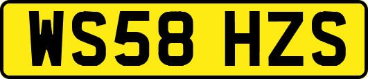 WS58HZS