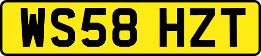 WS58HZT