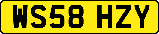 WS58HZY