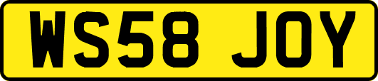 WS58JOY