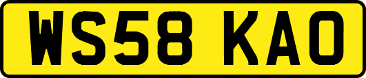 WS58KAO