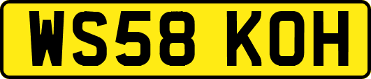 WS58KOH