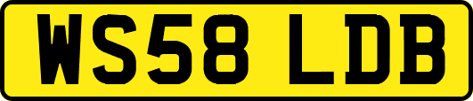 WS58LDB