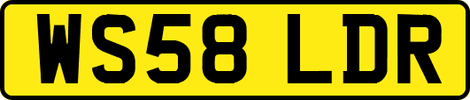 WS58LDR