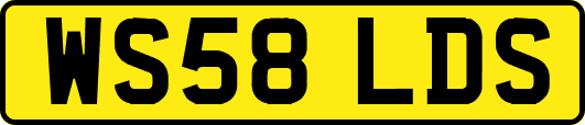 WS58LDS