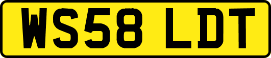 WS58LDT