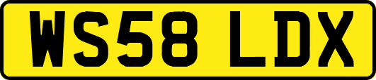 WS58LDX