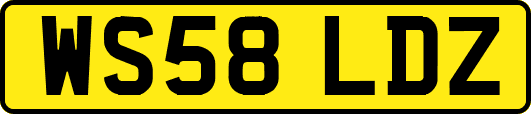 WS58LDZ