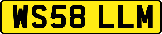 WS58LLM