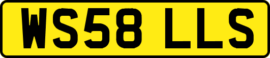 WS58LLS