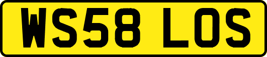 WS58LOS