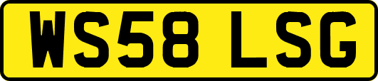 WS58LSG