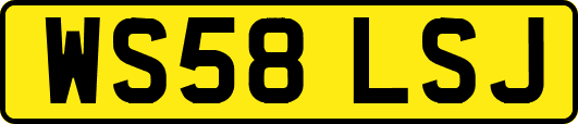 WS58LSJ