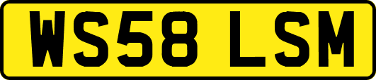 WS58LSM