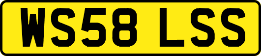 WS58LSS