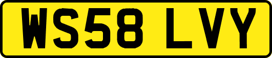 WS58LVY