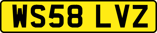 WS58LVZ