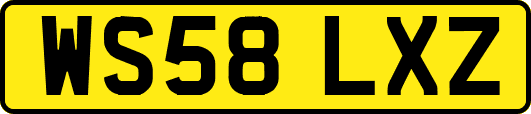 WS58LXZ