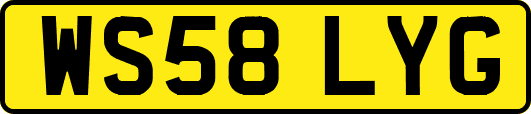 WS58LYG
