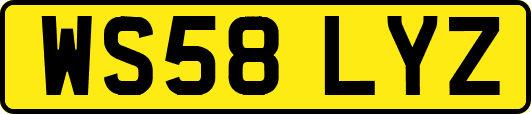 WS58LYZ