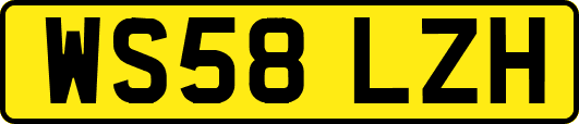 WS58LZH