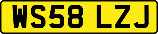WS58LZJ