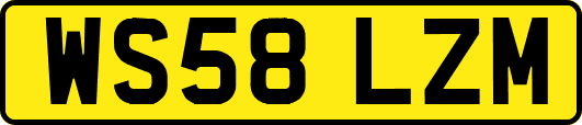 WS58LZM