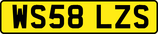 WS58LZS