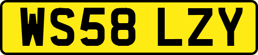 WS58LZY