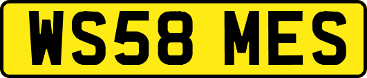 WS58MES
