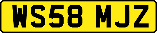 WS58MJZ