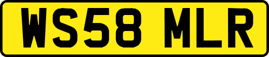 WS58MLR