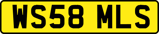 WS58MLS