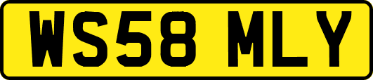 WS58MLY