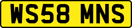 WS58MNS