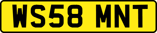 WS58MNT