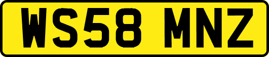 WS58MNZ