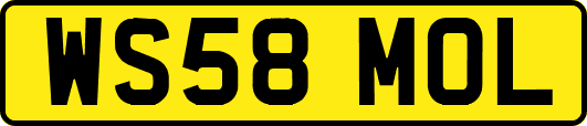WS58MOL