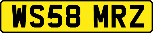 WS58MRZ
