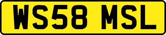 WS58MSL